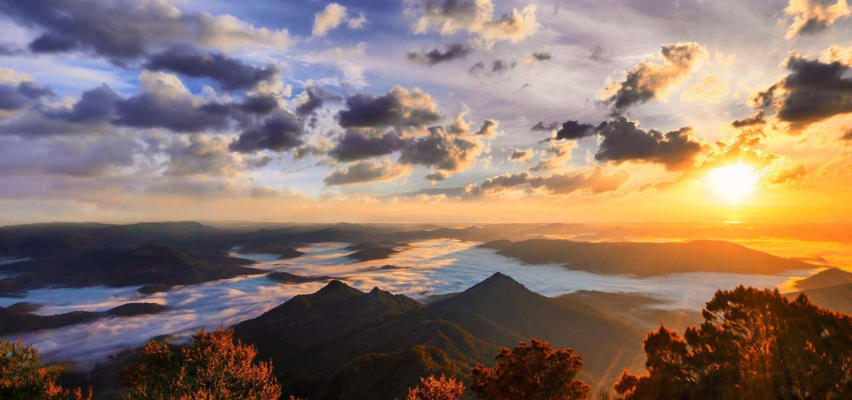 伊乐瑞高纯鱼胶原蛋白有限公司轮播图2