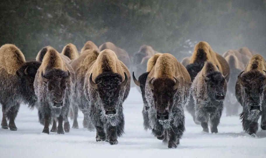 伊乐瑞高纯鱼胶原蛋白有限公司轮播图3